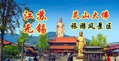 天天精品人人综合不卡江苏无锡灵山大佛旅游风景区